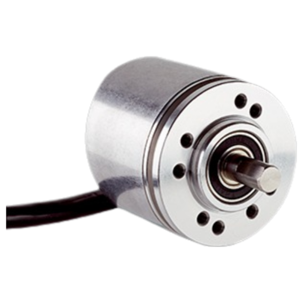 DBS36E-S3EJ00100
