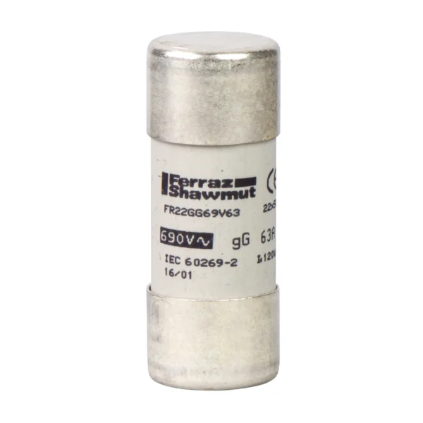 NFC cartridge fuses, TeSys GS, cylindrical, 22mm x 58mm, fuse type gG, 500VAC, 100A, without striker DF2FN100 PPCCB - NS Power Products