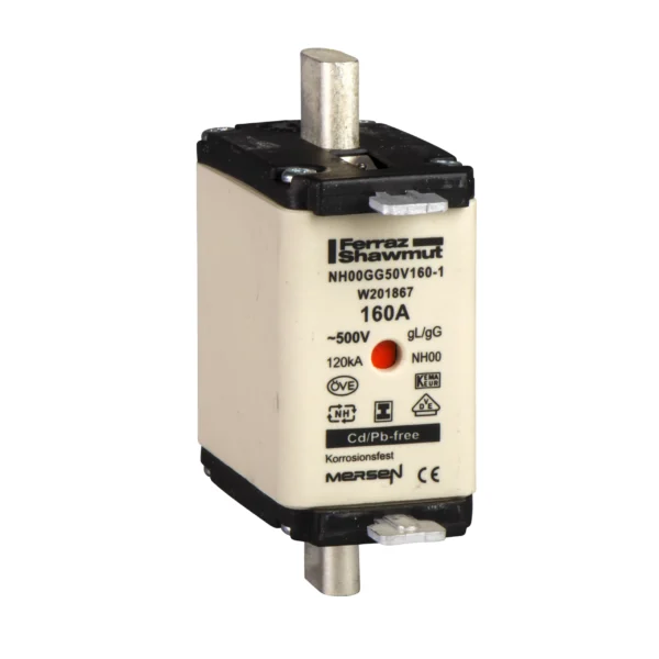 DIN cartridge fuses, TeSys GS, blade size DIN NH1, fuse type gG, 690VAC, 200A, without striker DF2HN1201 PPCCB - NS Power Products