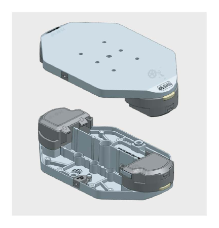 منصة نظام الناقل (باليت)